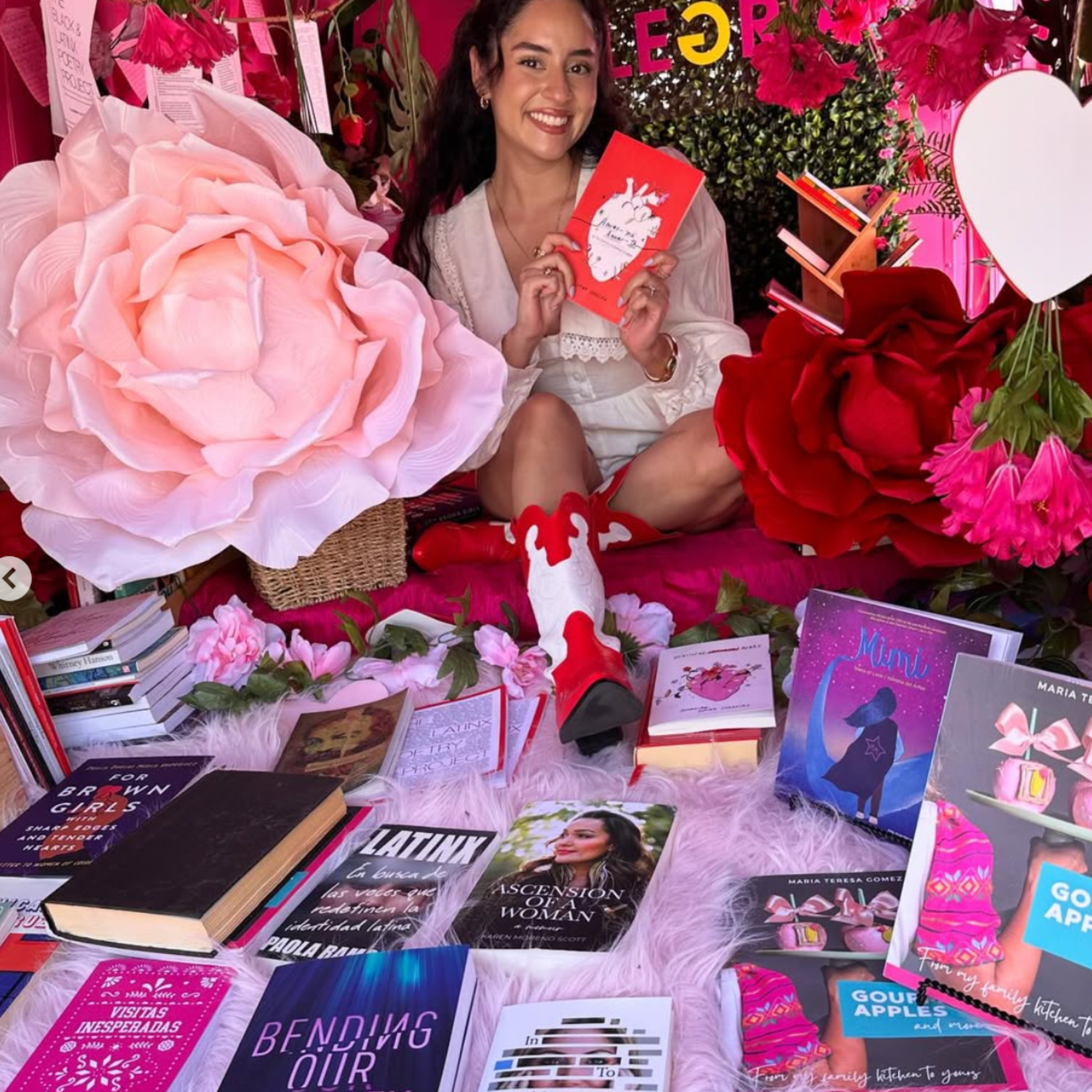 ALEGRÍA Dreams Package
