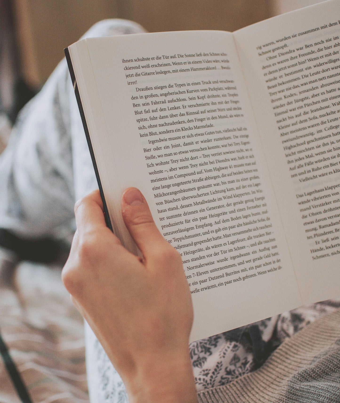 ALEGRÍA Dreams Package