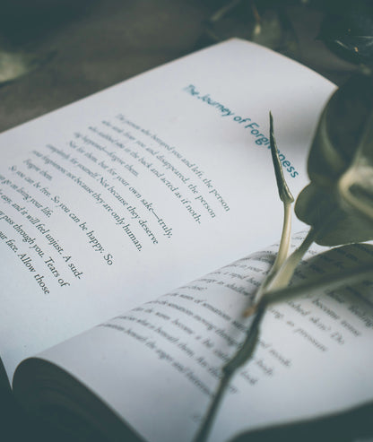 Re-Edition & Rebrand Package