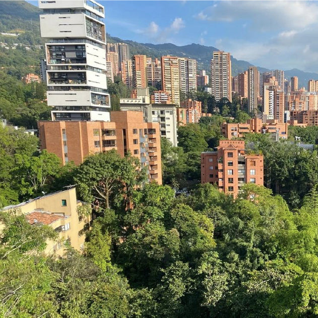 The Art of Living Creatively - A Cultural & Creative Retreat in Medellín, Colombia