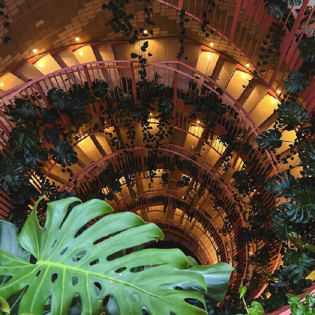 The Art of Living Creatively - A Cultural & Creative Retreat in Medellín, Colombia