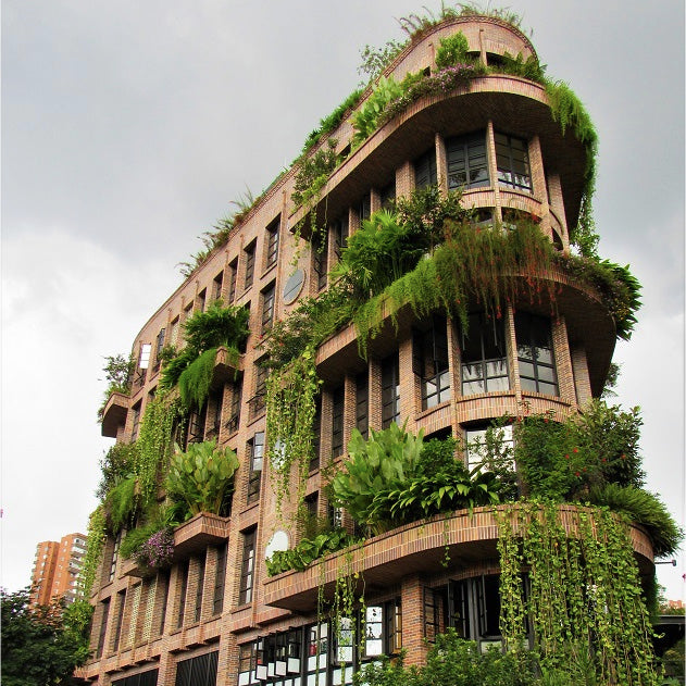 The Art of Living Creatively - A Cultural & Creative Retreat in Medellín, Colombia