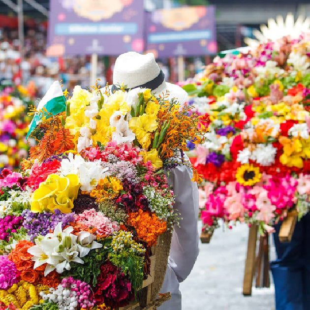 The Art of Living Creatively - A Cultural & Creative Retreat in Medellín, Colombia