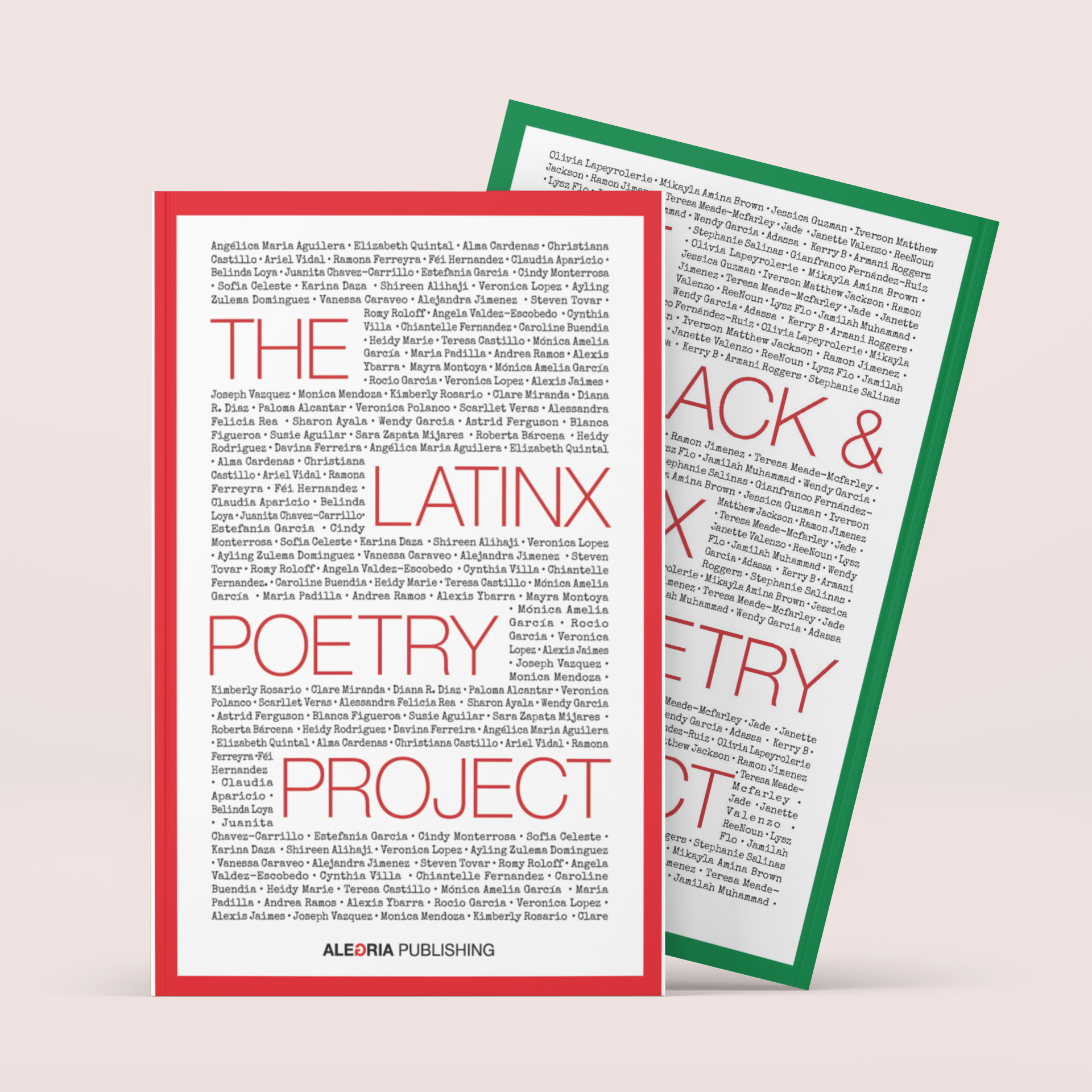 The Poetry Project Book Bundle SALE 30% OFF